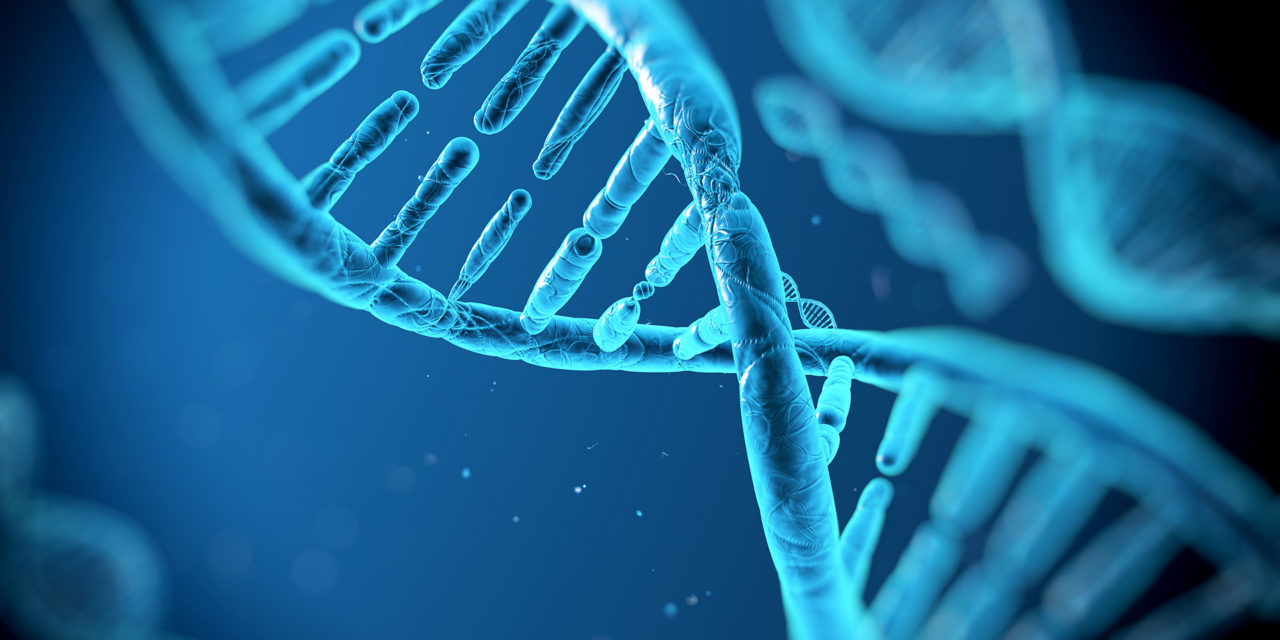 Prvý priamy zásah do DNA. Hráme sa na bohov?