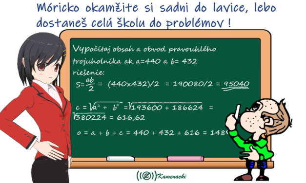 Kamenacki – humor na aktuálnu tému