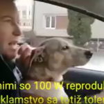 V jednej ruke volant, v druhej mikrofón, pes na kolenách, kandidát Progresívneho Slovenska Matej Fabšík prenasleduje dodávku Kotlebovcov